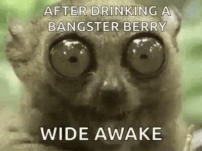 Lemur With Big Eyes Saying After Drinking a Bangster Berry Wide Awake