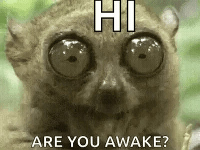Lemur With Big Eyes Saying Hi GIF