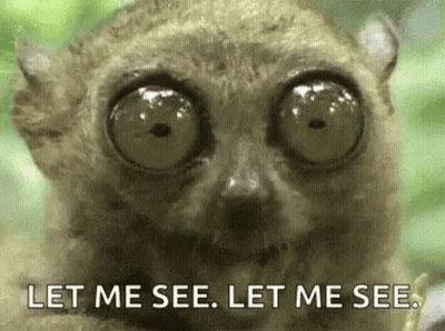 Lemur With Big Eyes Saying Let Me See GIF