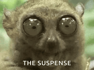 Lémur con ojos grandes diciendo 'la suspensión' GIF