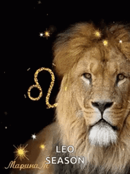 Leo Season Roaring GIF