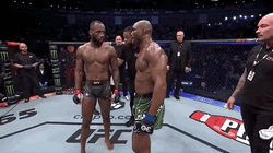 Leon Edwards Gentlemen Hand Shake GIF