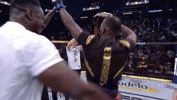 Leon Edwards Happy Dance GIF