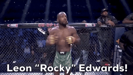 Leon Rocky Edwards Mixed Martial Arts GIF