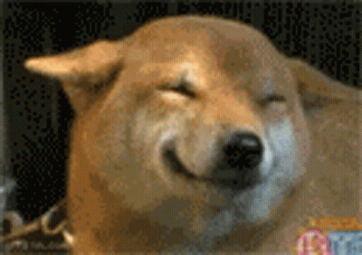 Leonardo DiCaprio Laughing With Weee GIF
