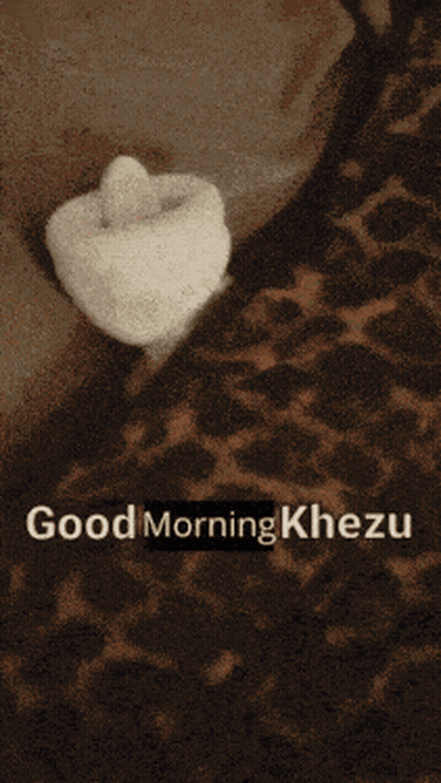 Leopard Print Blanket Saying Good Morning Khezu GIF