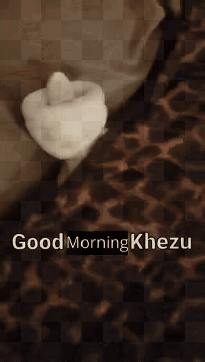 Leopard Print Blanket Saying Good Morning Khezu GIF
