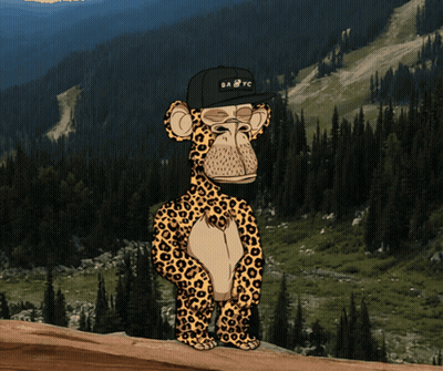 Leopard Wearing Hat Saying Babyc GIF