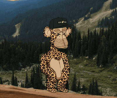 Leopard With Mouth Open Saying Steve