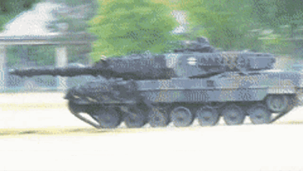 Leopardczolg GIF