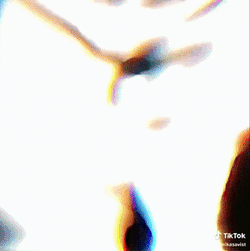 Leorio Leorio Paradinight GIF