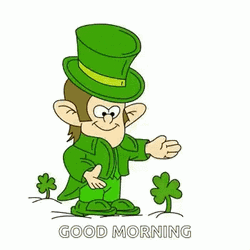 Leprechaun Hats Off GIF