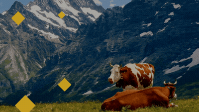 Leprechaun Holding Luck Of The Irish Sign GIF