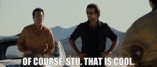 Leslie Chow That's Cool GIF