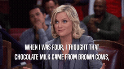 Leslie Knope GIF