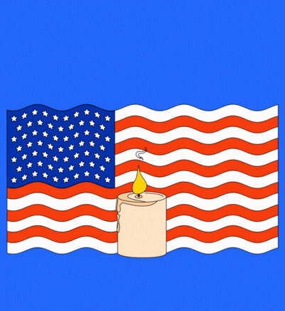 Lest We Forget Their Sacrifice And Protect Democracy GIF