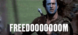 Let Freedom Ring Mel Gibson Braveheart GIF