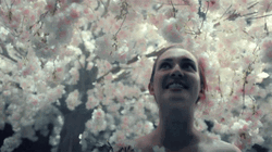 Let Freedom Ring Nicole Haught Wynona Earp GIF