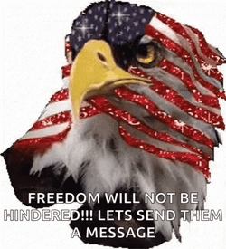 Let Freedom Ring Shimmering Bald Eagle GIF