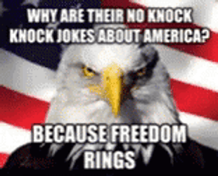 Let Freedom Ring USA Eagle Icon GIF