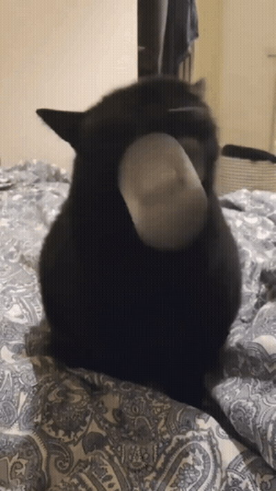Let Me Break It Down For You Real Quick GIF