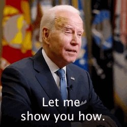 Let Me Do It For You President Joe Biden GIF
