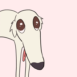 Let Me Do It For You White Dog GIF