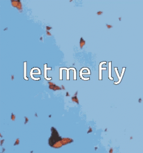 Let Me Fly Butterflies GIF