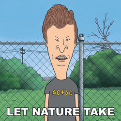 Let Nature Take Its Course Butt-Head GIF