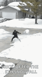 Let's Clear The Snowfall GIF