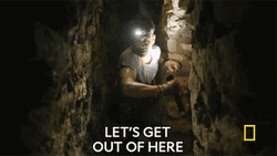 Let's Get Out Of Here GIF