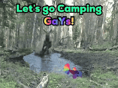 Let's Go Camping Gays Poster In Forest GIF