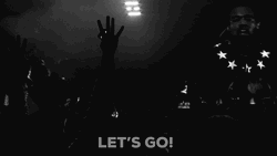 Let's Go Concert GIF