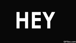 Let's Go Hey Ho Cheer GIF