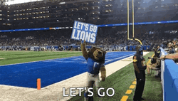 Let's Go Lions Team GIF