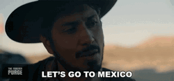 Let's Go To Mexico GIF