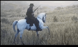 Let's Go White Horsey Giddy Up GIF