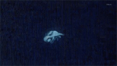 Let's Hunt Sign With Eagle Logo GIF