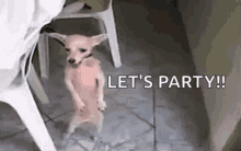 Let's Party Funny Dancing Dog GIF