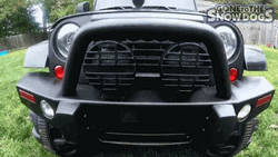 Let's Ride Dog On Toy Car GIF