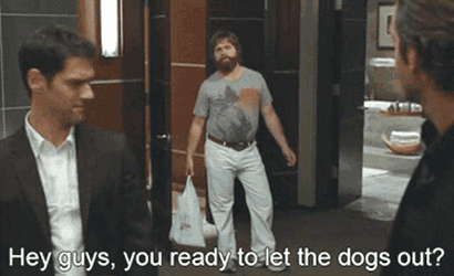 Let The Dogs Out Are You Ready GIF