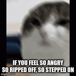 Let The Hate Flow Through You Cute Cat GIF