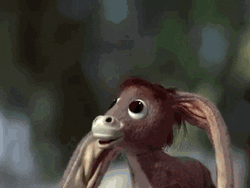 Let There Be Light Blessed Donkey Animation GIF
