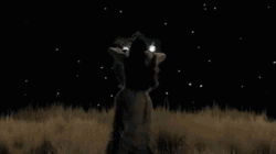 Let There Be Light Magical Photokinesis GIF