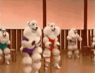 Lets Dance Dog GIF
