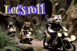 Lets Roll Cat Gang Rider GIF