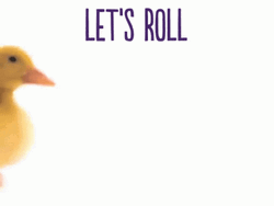 Lets Roll Duck And Pig Friends GIF