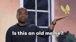 LeVar Old Meme GIF