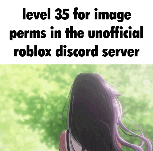 Level 35 Girl Roblox Discord GIF