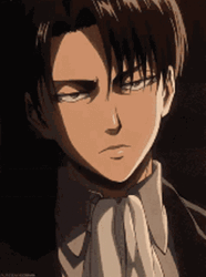 Levi Annoyed Reaction GIF